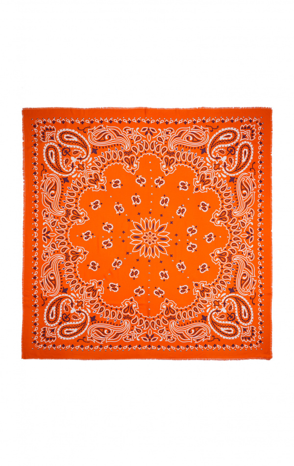 Foulard Paisley Terre