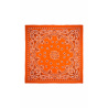 Foulard Paisley Terre