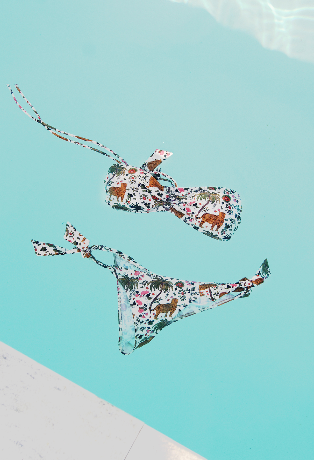 Bikini kandy wild